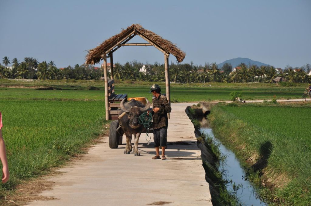 <i><b>Hoi An-061</b></i>